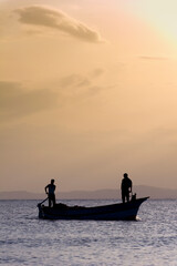 Tunisia, Cap Bon. Hammamet. Fishermen returning to the port