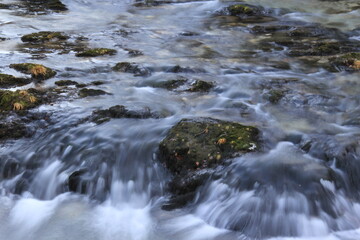 Close up of river and small rapids, wild water, dangerous nature.