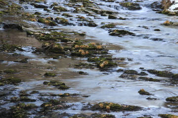 Close up of river and small rapids, wild water, dangerous nature.