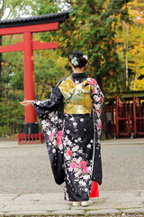 日本の美しい着物の後ろ姿