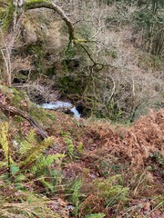 Stream, Snowdonia National Park, Wales