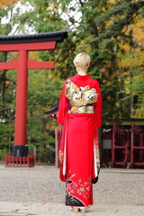 Fototapeta na wymiar 日本の美しい着物の後ろ姿