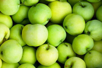 Fresh green apple harvest background