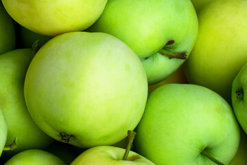 Fresh green apple harvest background