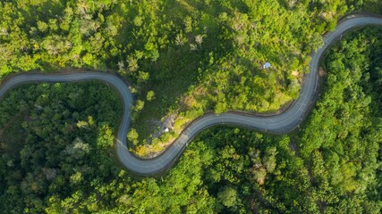Aerial view of hilly region borneo showing forests, roads and slopes