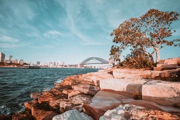 Foto auf Glas Barangaroo Reserve in Sydney, Australia, one of the most iconic places to do activities outdoor and have sea views in the heart of the city. © Juan