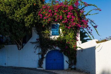 North Africa, Tunisia, Sidi Bou Said. Typical traditional white houses whith Bougainvillea.