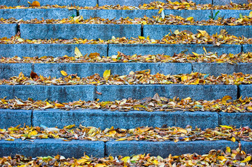 Obraz premium Autumn yellow leaves on stairs