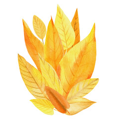 autumn leaves on an isolated white background, watercolor sketch