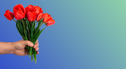 Beautiful bouquet of red tulips in a male hand. Man gives spring flowers. Greeting card for Easter, mother's day and any other holidays with space for text