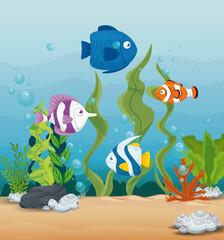 Fototapeta na wymiar cute fishes wild marine animals in ocean, seaworld dwellers, cute underwater creatures,habitat marine concept vector illustration design