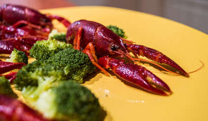 Crayfish dish: a swedish summer dish