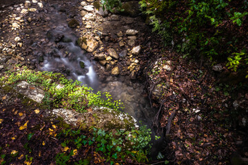 Mountain river flowing through the green forest. Stream in the wood. Outdoor, scene. Mountain river flowing through the green forest