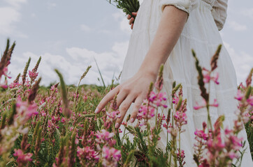 Hand of woman touching blossoming flowers in a flower field moody atmosphere