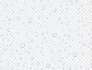Water rain drops or steam shower texture isolated on transparent background. Vector pure droplets on window glass surface pattern