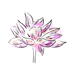 手描きイラスト：蓮の花