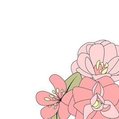 Hand drawn flower isolated on white. Vector Illustration