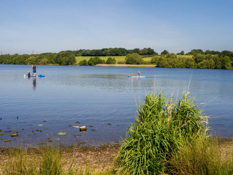 Warm weather visitors enjoying time in the water at Pickmere lake, Pickmere, Knutsford, Cheshire, UK