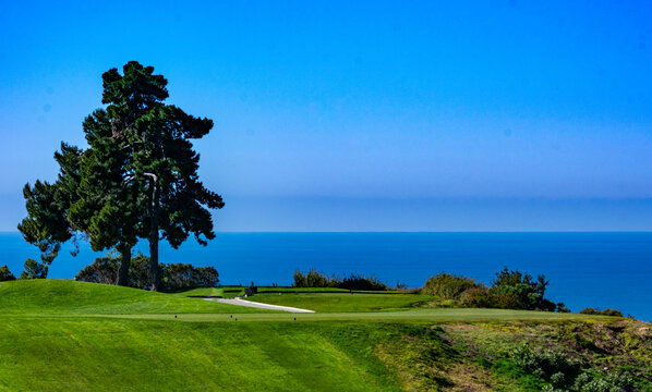 Torrey Pines Golf Couse in San Diego California