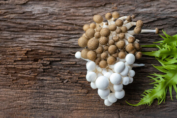 Brown and white mushrooms on wood background