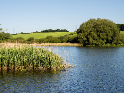 Beautiful morning at Pickmere Lake, Pickmere, Knutsford, Cheshire, UK