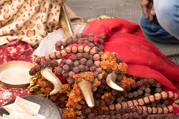 image of a rudraksh beads