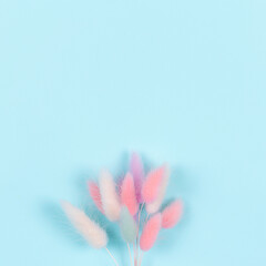 Blue square background with colorful spikelets. Top view. Copy space.