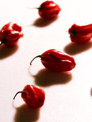 chilli pepper on white background