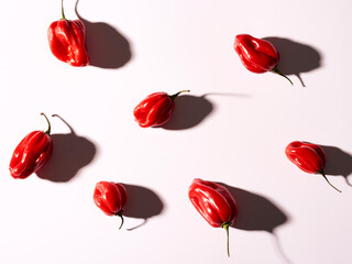 chilli pepper on white background