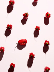 chilli pepper on white background