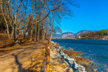 beautiful wide angle view of seaside pedestrian walk at Nami Island, South Korea with awesome and calm blue sky and blue water few weeks at the backdrop before winter season started