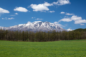Fototapeta na wymiar 春の青い空と岩手山の雪と新緑