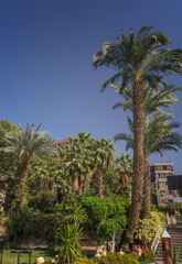 Fototapeta na wymiar Views on the banks of the Nile in Cairo