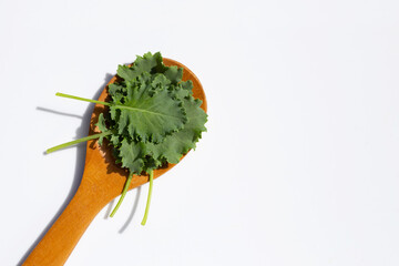 Kale leaves on wooden spoon on white background.
