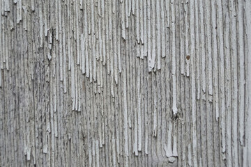 Obraz premium Texture de porte ancienne