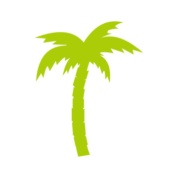 palm tree vector icon illustration symbol