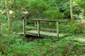 Wood bridge crossing a gully