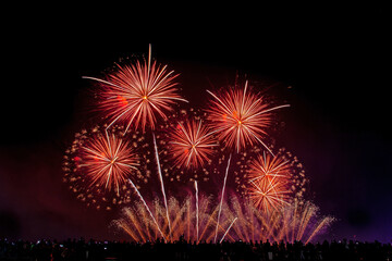 Crowd looks holiday fireworks in dark evening sky.