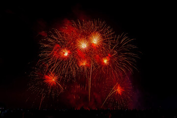 Crowd looks holiday fireworks in dark evening sky.