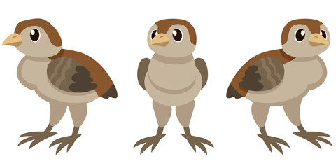 Baby turkey in different poses. Farm animal in cartoon style.