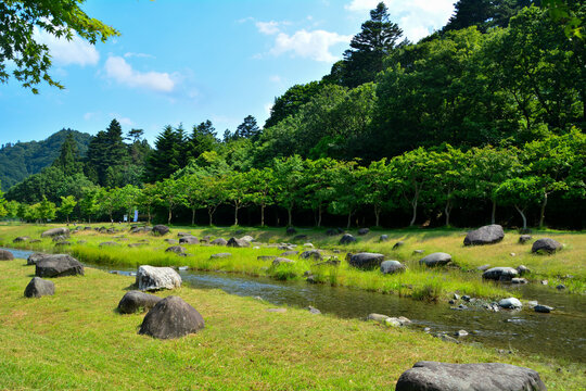 宮ヶ瀬湖畔園地【じゃぶじゃぶ池】