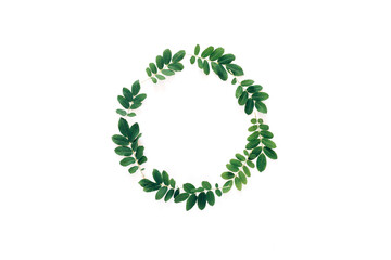Beautiful wreath of fresh branches, a beautiful frame of branches in a circle
