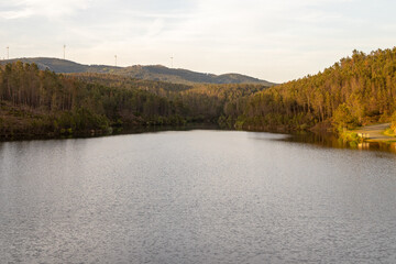 Beautiful river landscape, with pine trees all around it, in Viseu, Portugal