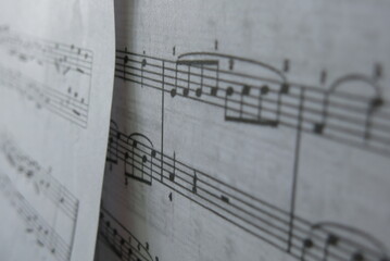 notes de musique 

