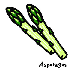 黒いろの縁取りのアスパラガスの手書き風ベクターイラスト