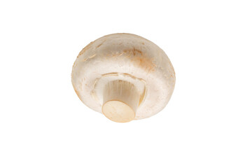 Champignon mushroom isolated on white background.