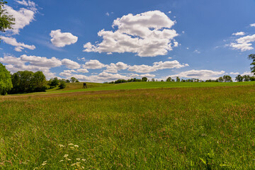 Meadow with grasses and a high seat under a blue sky with clouds and a wide view of the Sauerland, Germany