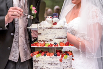 Groom and bride marriage Cutting the delicious fruity Wedding Cake together colorful fruits