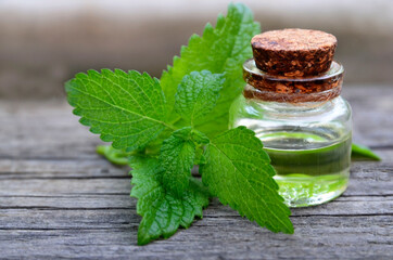 Melissa essential oil in a glass bottle with fresh green melissa leaves on old wooden table for...