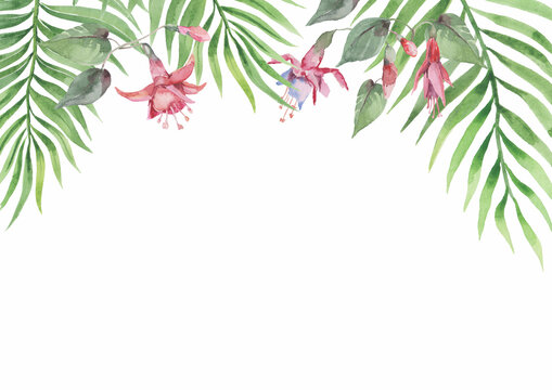 Botanical composition of tropical plants with green leaves of palm branches and pink fuchsia flowers. Postcard, business card, banner, cover. Watercolor.